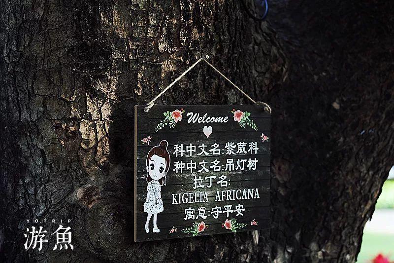 春节旅游旺季，广州千叶优质泳池设备助力酒店服务升级
