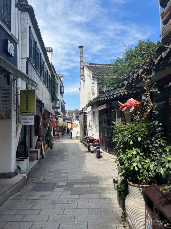失忆的流浪者